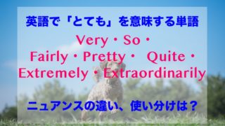 英語で「とても」を意味するVery・So・Fairly・Pretty・ Quite・Extremely・Extraordinaryのニュアンスや意味の違い