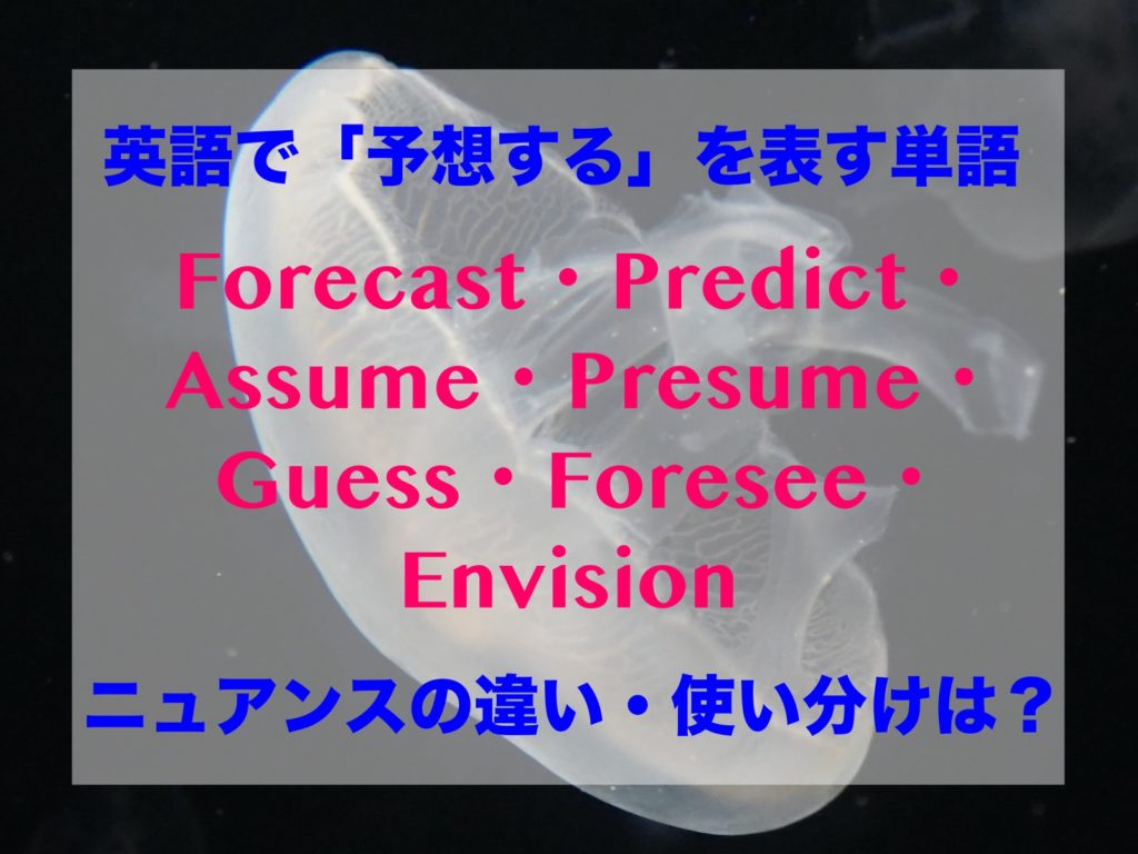 英語で「予想する」を意味する単語のニュアンスの違い、使い分けは？Forecast・Predict・Assume・Presume・Guess・Foresee・Envision