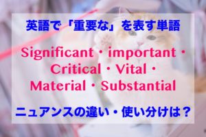 英語で「重要な」を意味する単語のニュアンスの違い、使い分けは?Significant・Important・Critical・Vital・Material・Substantial