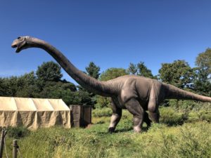 ブラキオサウルス