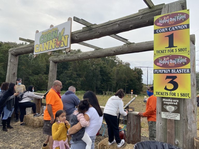 【US・NJ州】子供も大人も楽しめるHappy Day Farmのアクセス・見どころは？ カモンベイビーアメリカ